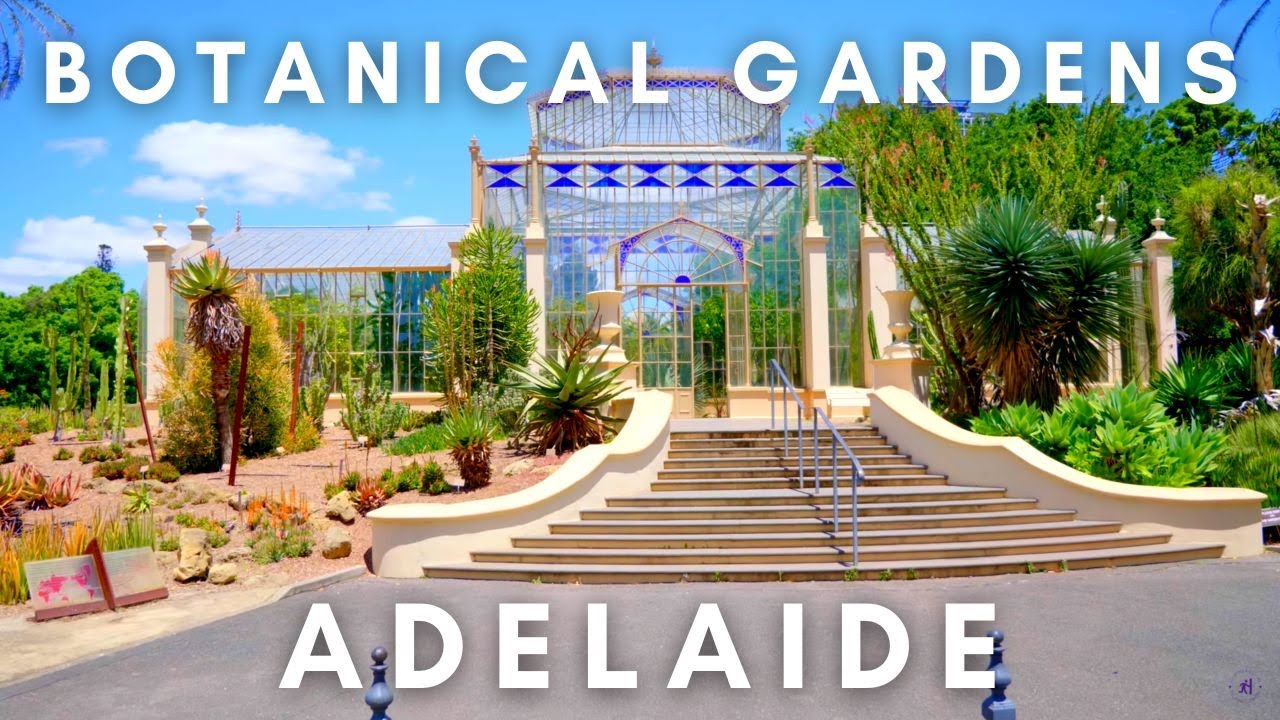 Adelaide, Botanical Gardens -  Australia | 4K 60fps Walking Tour