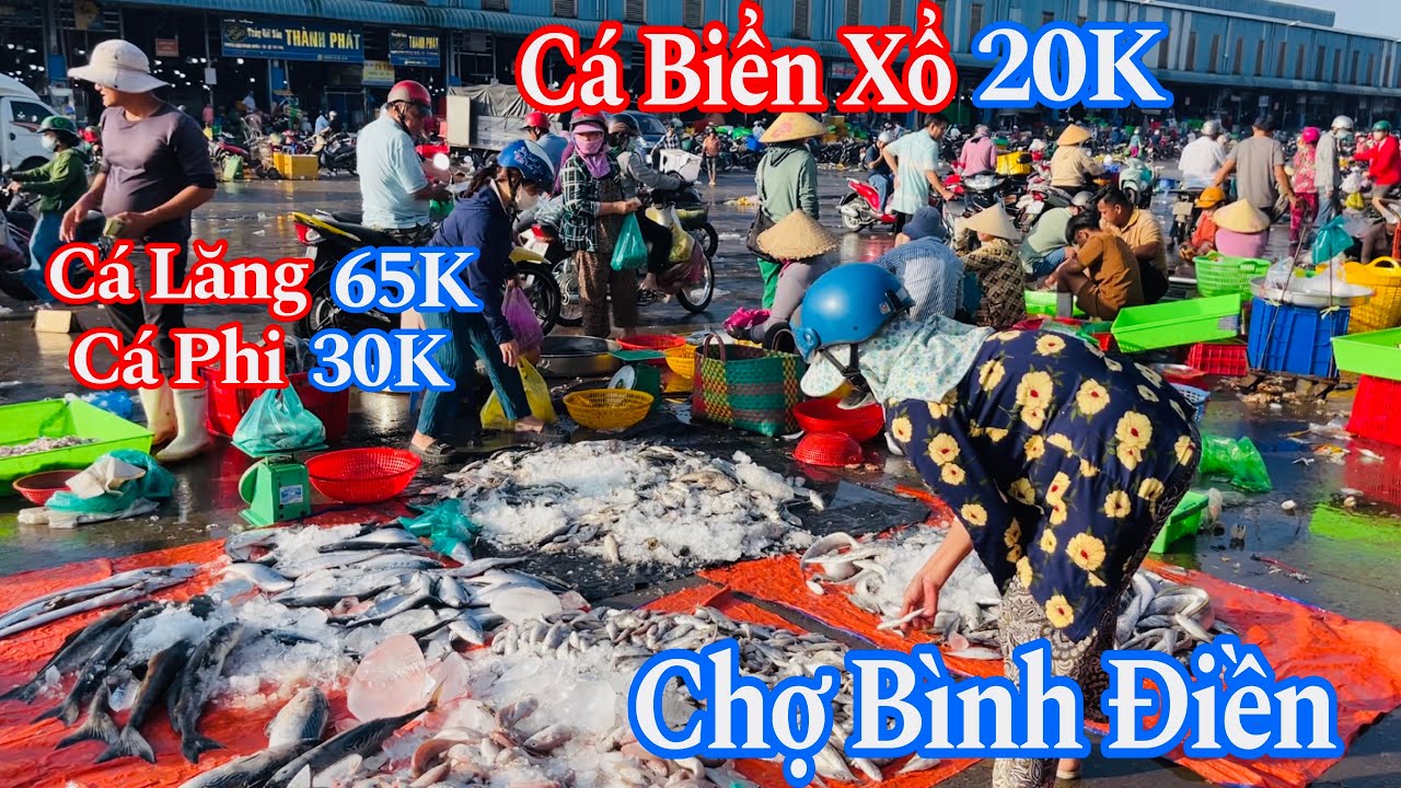 Chợ Bình Điền Sáng Thứ 7 - Cá Biển Xổ 20K, Tôm Càng 150K, Cá Lăng 65K, Cá Phi 30K | 28/02/2026