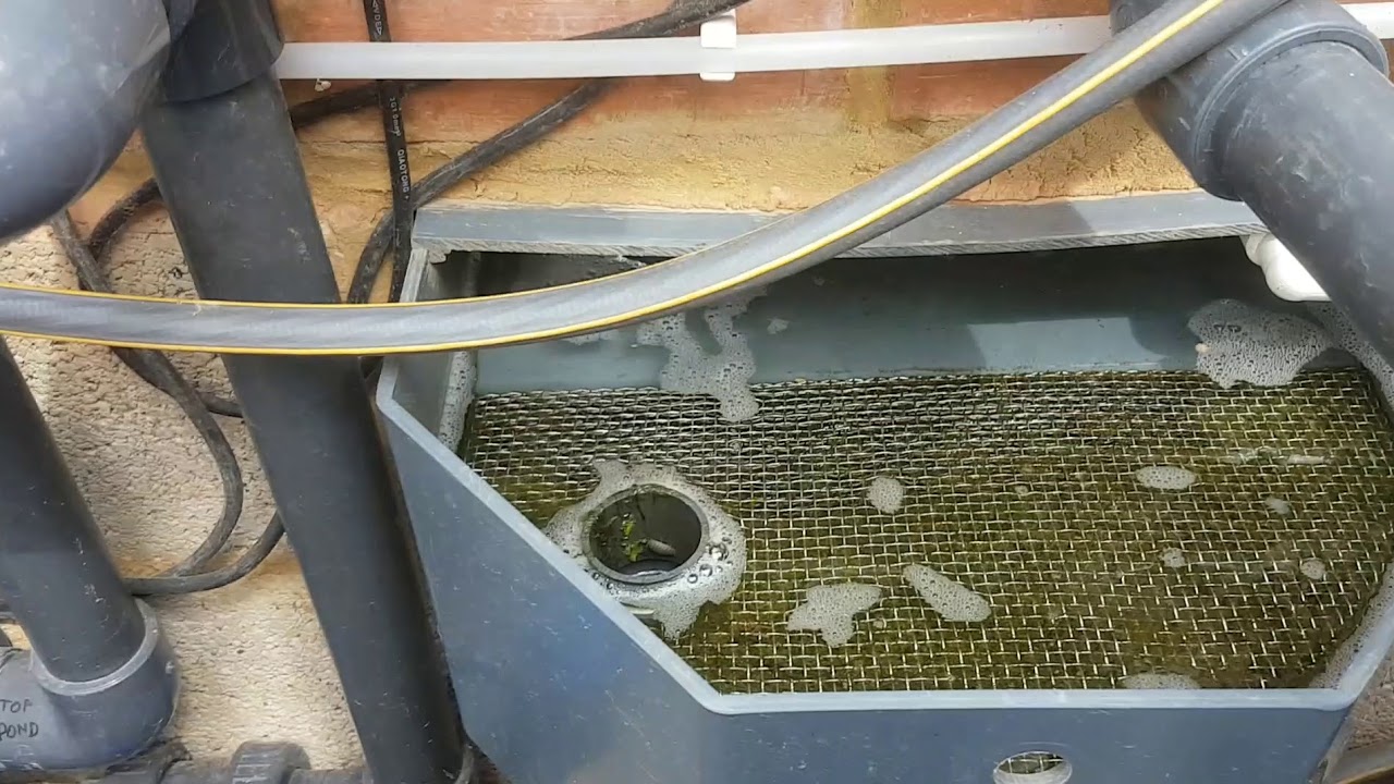 Koi Kit - Part 1: The Skimmer