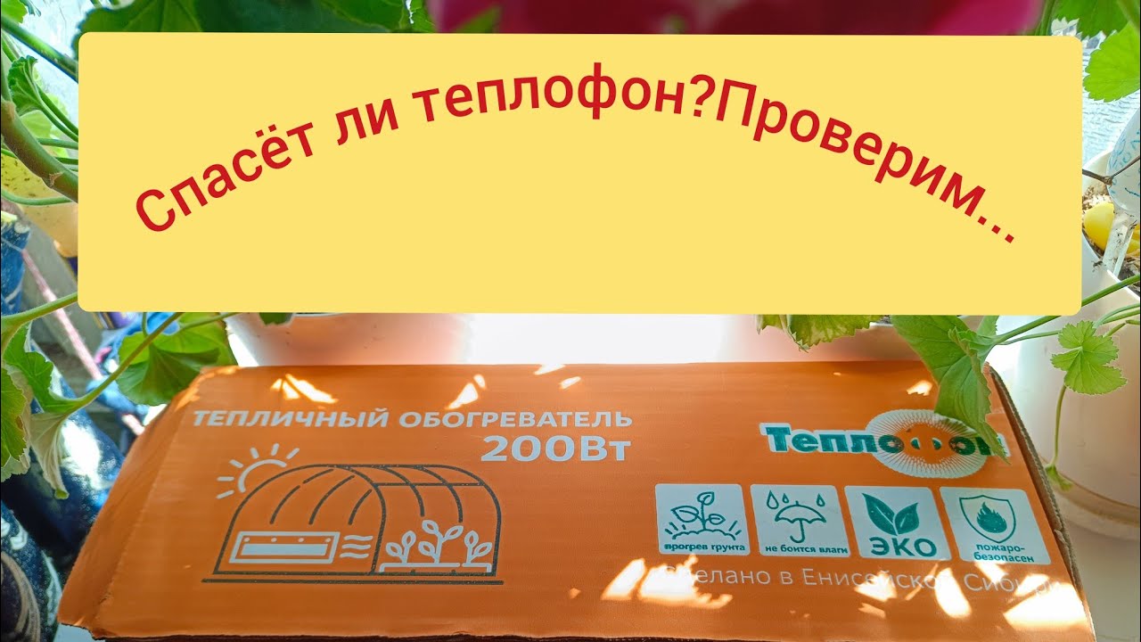Поможет ли теплофон в теплице?