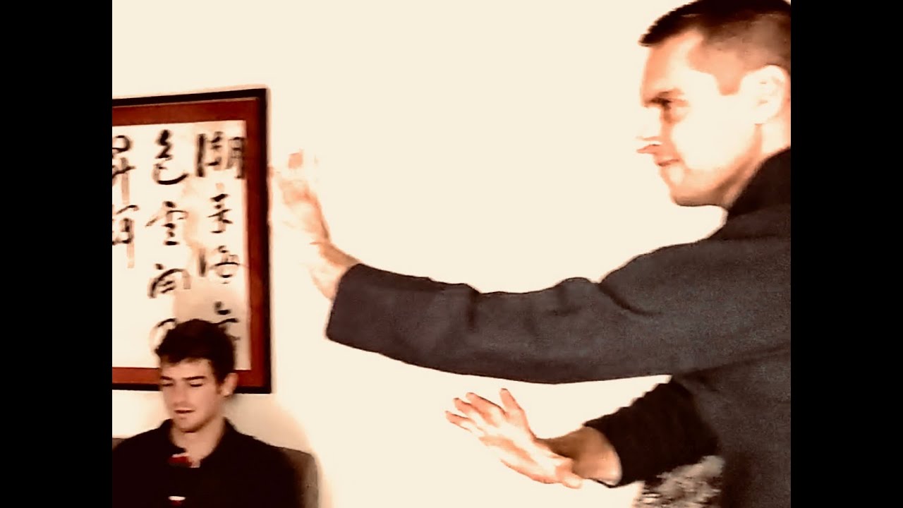 Bagua & IMA fight principles