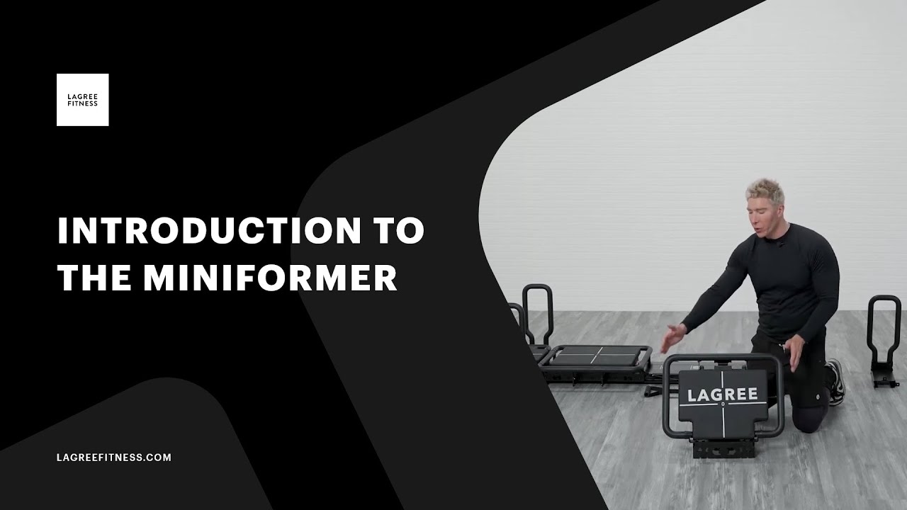 Introduction to The MiniFormer