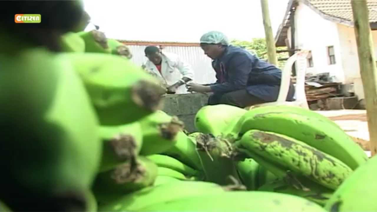 Smart farm - Banana value addition