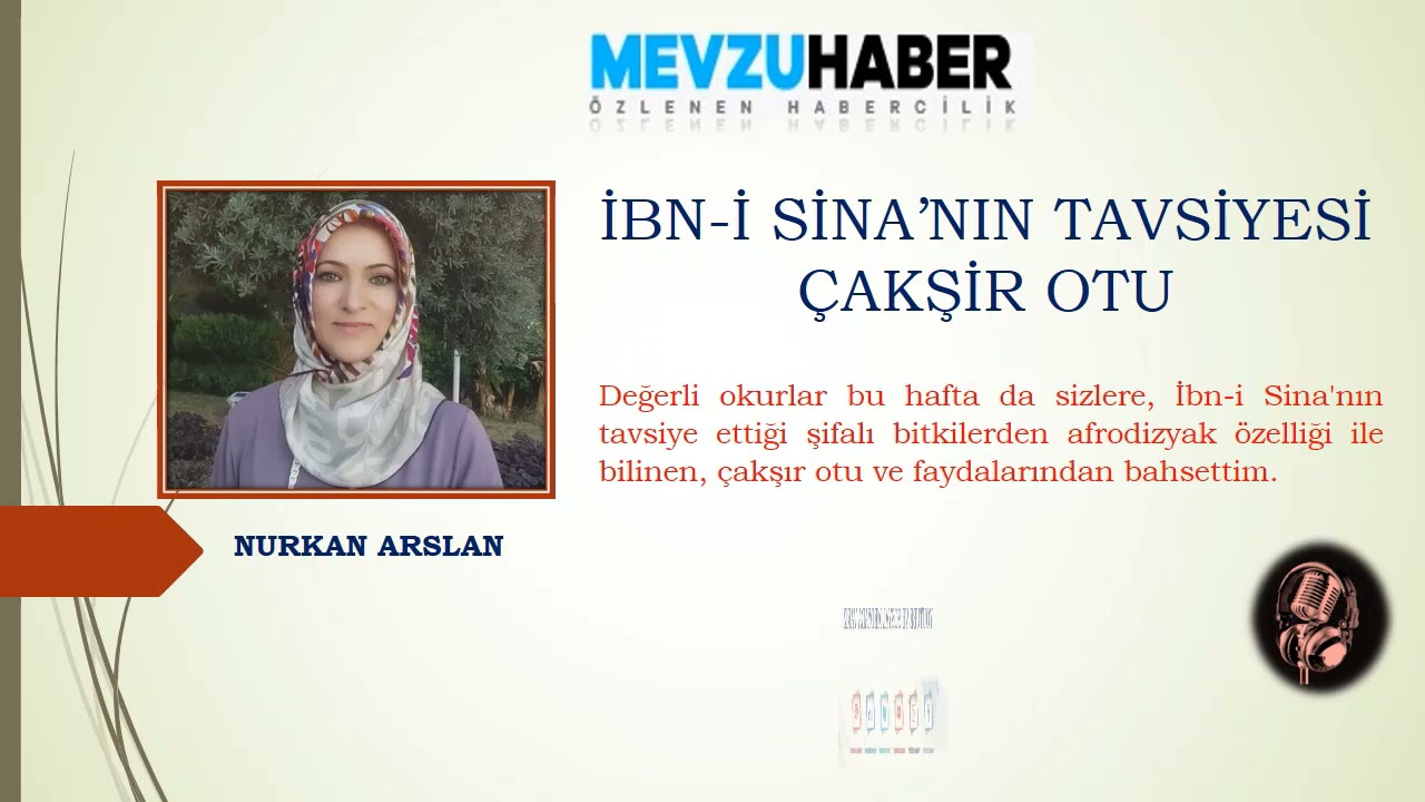 İbn-i Sina'nın Tavsiyesi Çakşır Otu