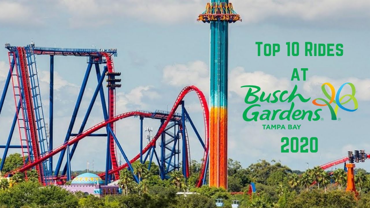 Top 10 Rides at Busch Gardens Tampa 2020