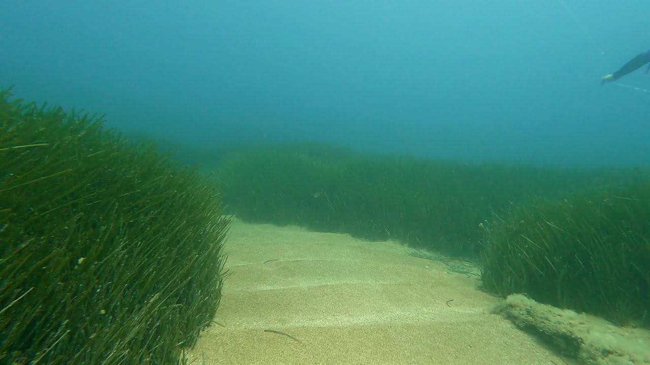 Diving Corfu Korfu Greece St. George Coast chill music tauchen