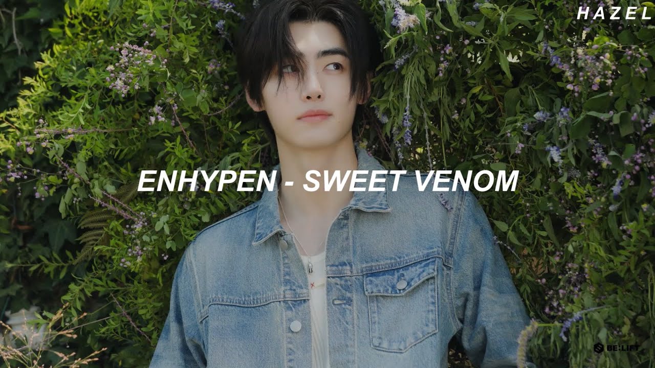 ENHYPEN (엔하이픈) - 'Sweet Venom' Easy Lyrics