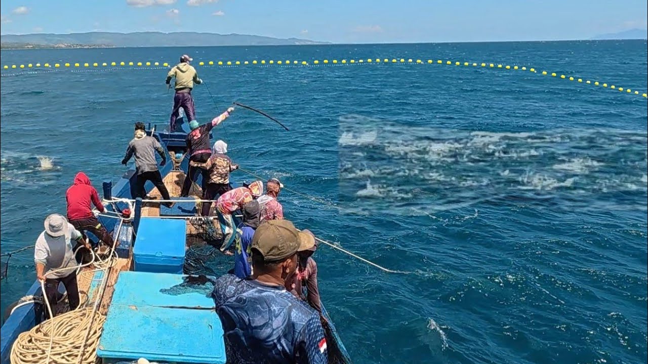 Pukat cincin, Nelayan Indonesia Dapat Banyak Ikan, luar biasa hasil tangkapan nelayan Indonesia