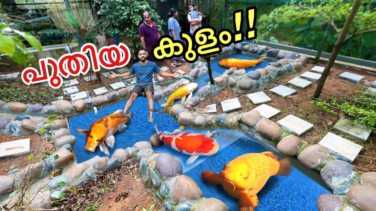 3 ലക്ഷം രൂപയുടെ പുതിയ മീൻ കുളം | build new pond for Koi fishes