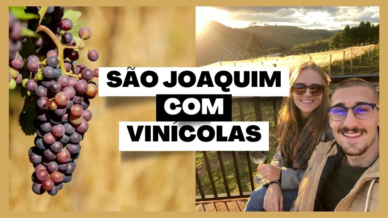 SERRA CATARINENSE - SÃO JOAQUIM + VINÍCOLAS (PT. 1)