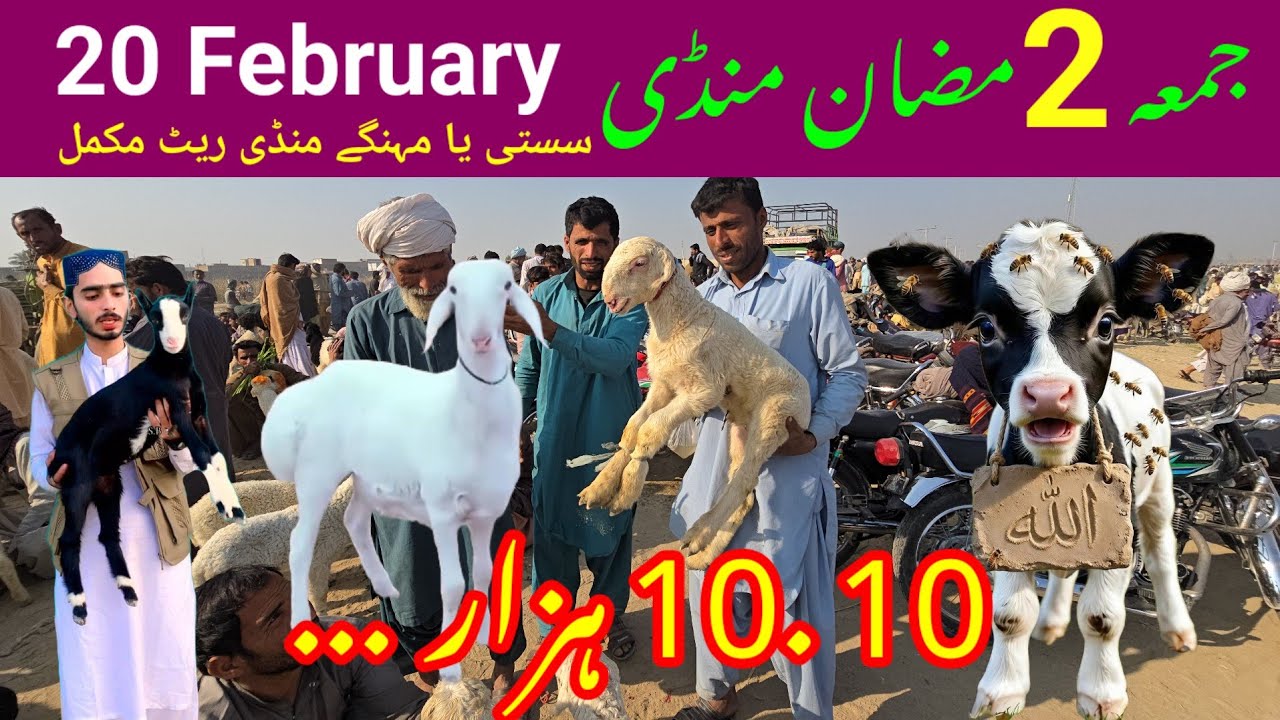 20 февраля 2 Рамзан Джумма Манди 🔥🥵 Оцените 🙏 видео влог