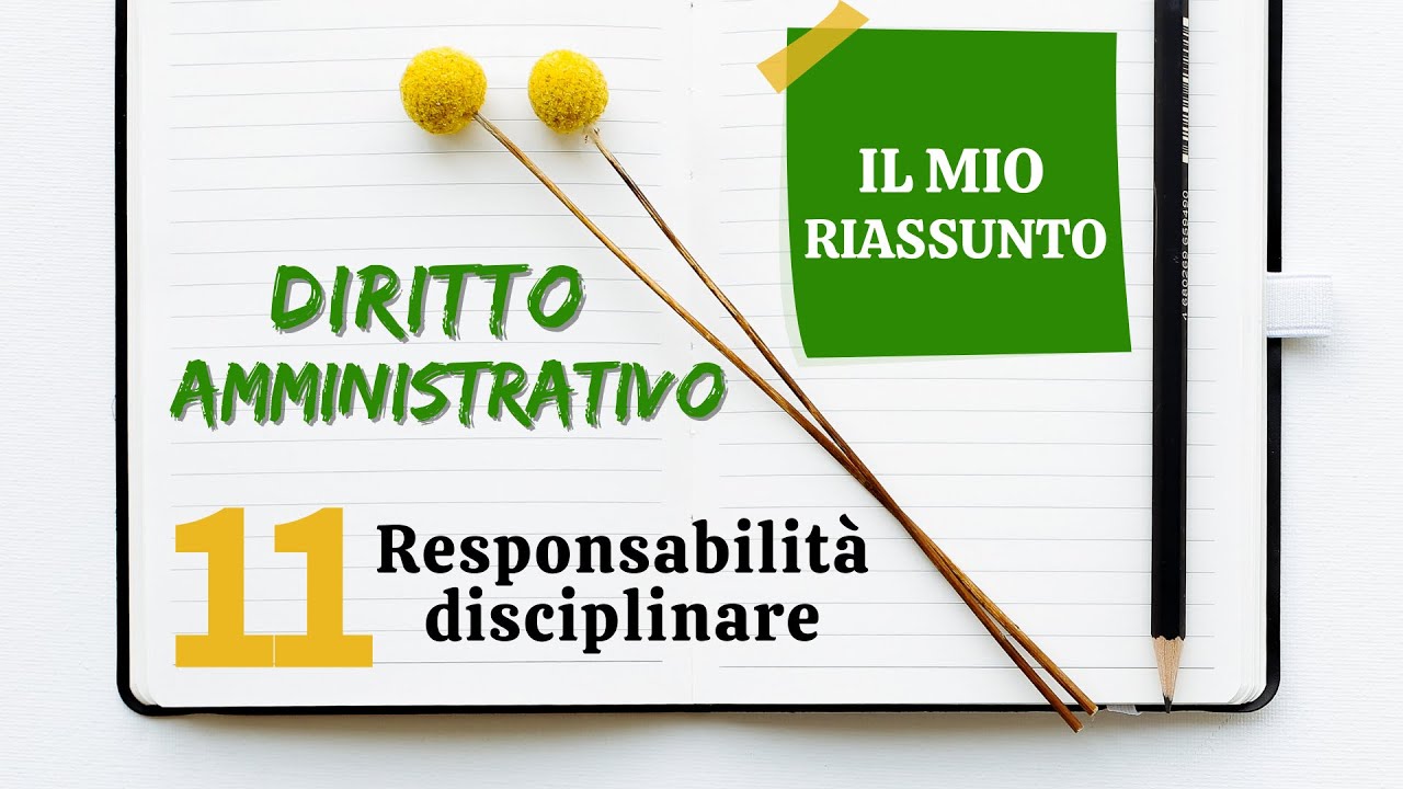 Diritto Amministrativo - Capitolo 11: responsabilit&agrave; disciplinare
