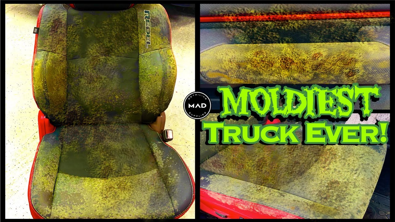 Deep Cleaning the MOLDIEST TRUCK EVER! Satisfying Interior BIOHAZARD Car Detailing A Dodge Ram Rebel