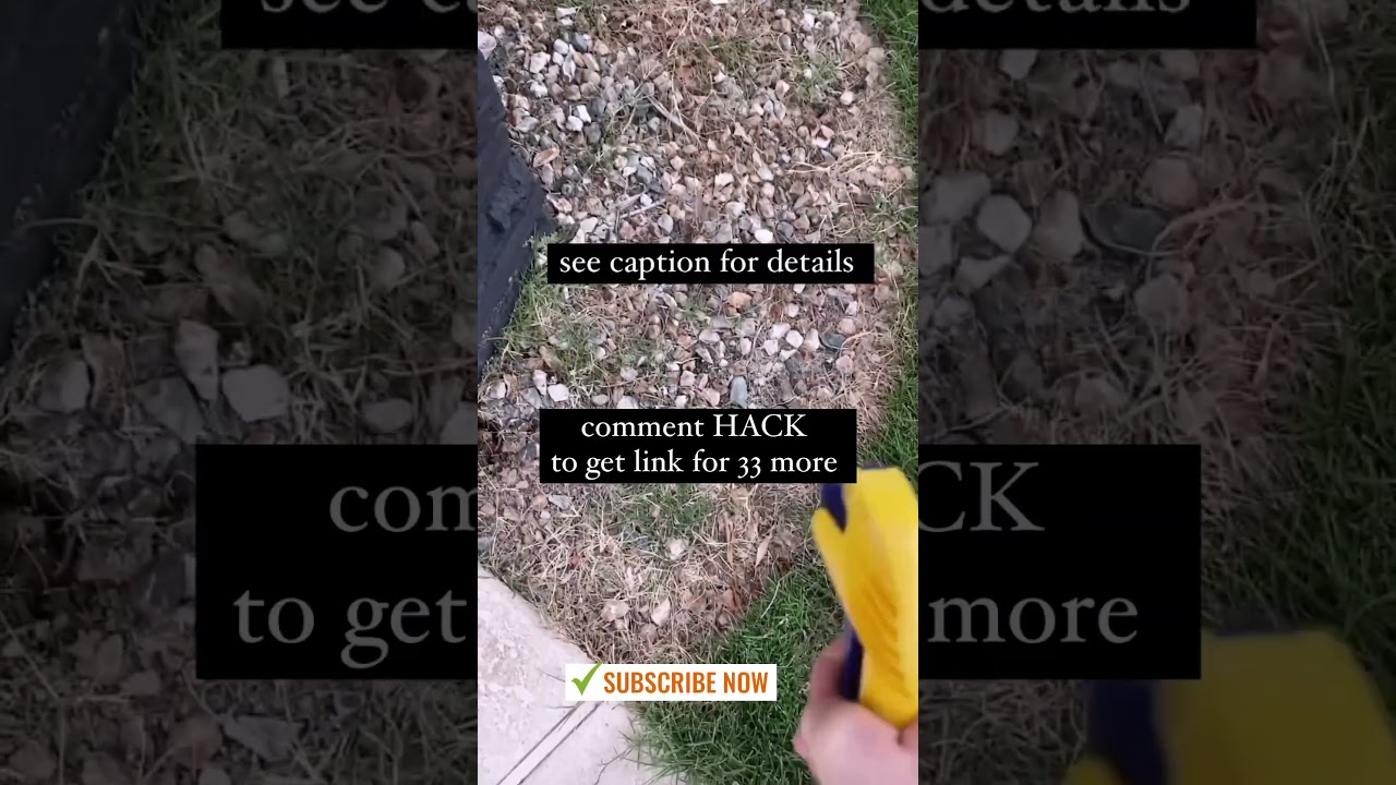 DIY Weed Killer | Homemade Natural Weed Killer Recipes