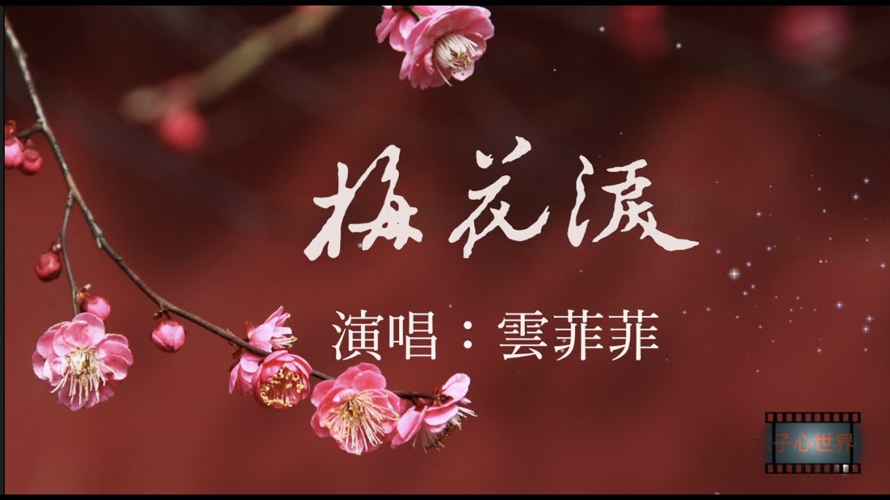 雲菲菲【梅花淚】
