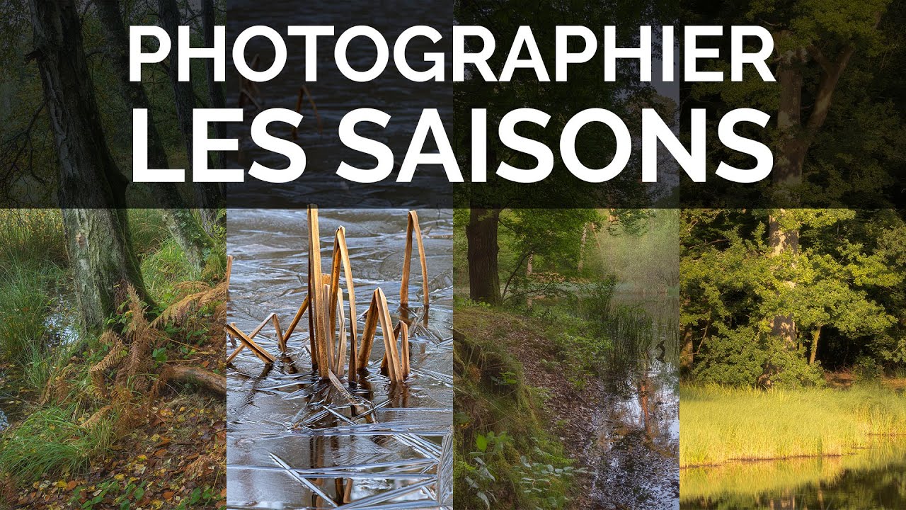 Photographier les saisons