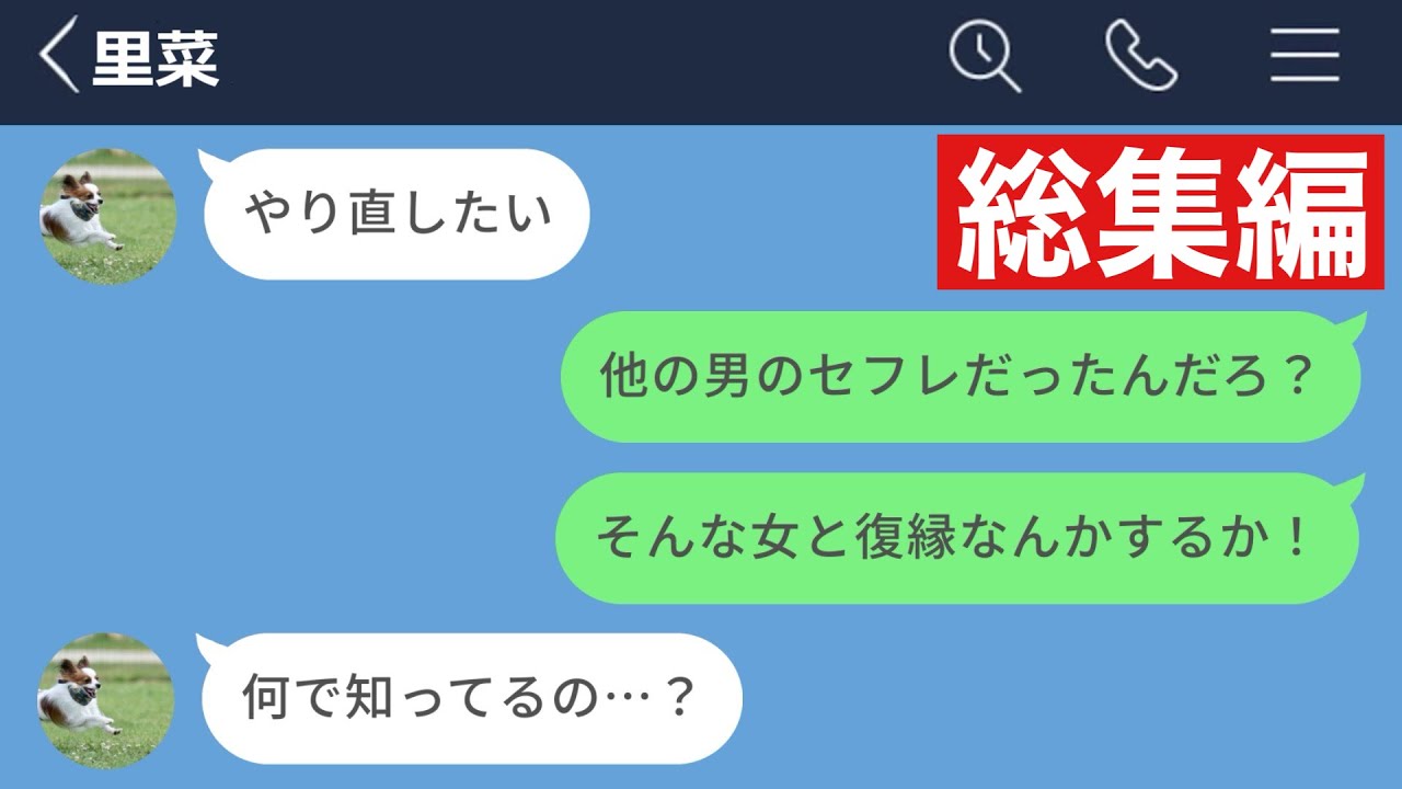 【LINE】帰省して憧れてた男のセフレになって捨てられた元彼女の末路www【総集編・作業用】