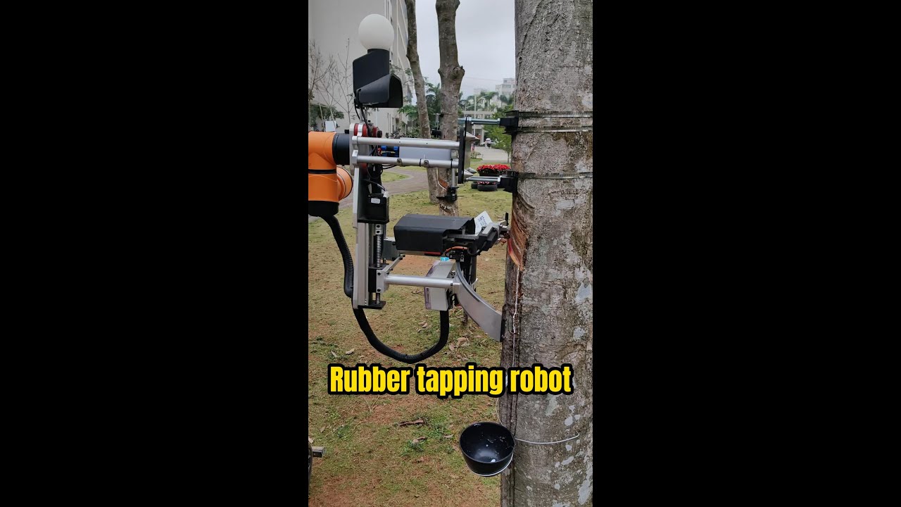 Chinese scientists develop rubber tapping robot