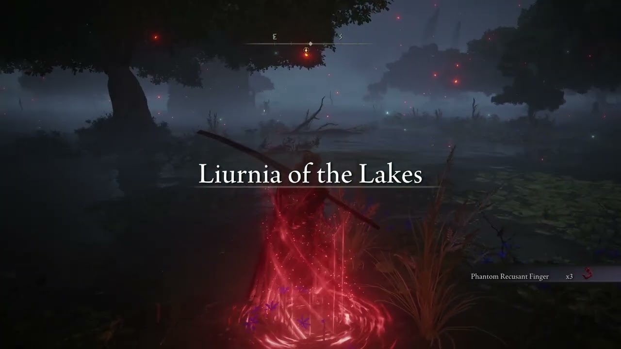 Elden Ring Invasions - You Guessed It. It's a Great Katana video