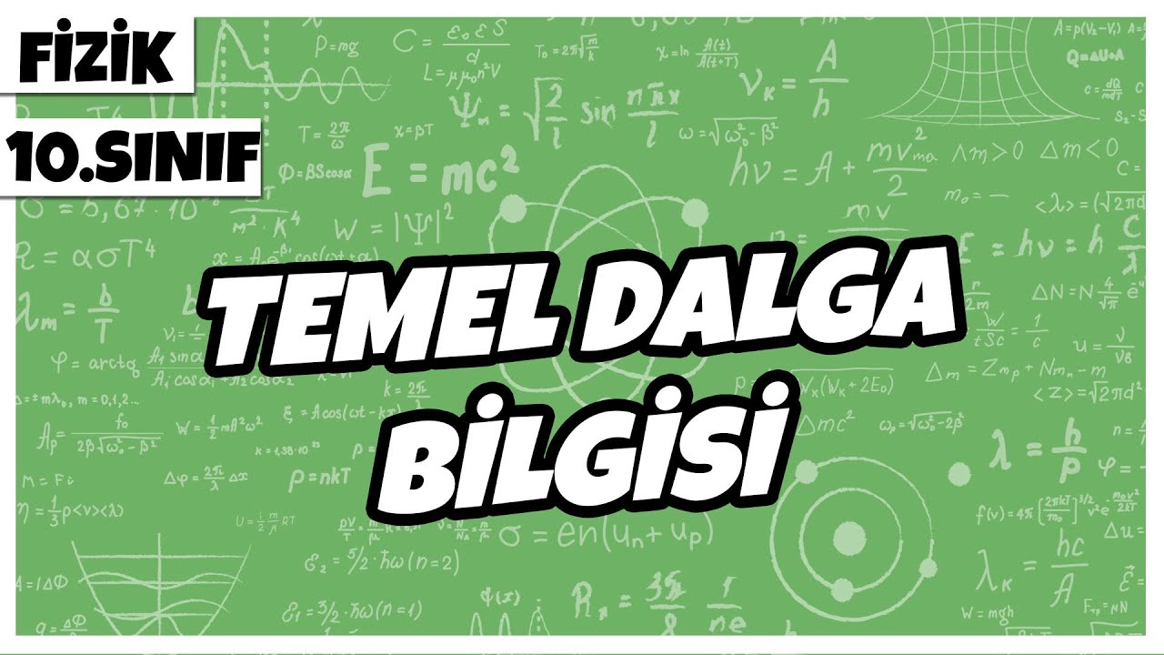 10.Sınıf Fizik - Temel Dalga Bilgisi | 2022
