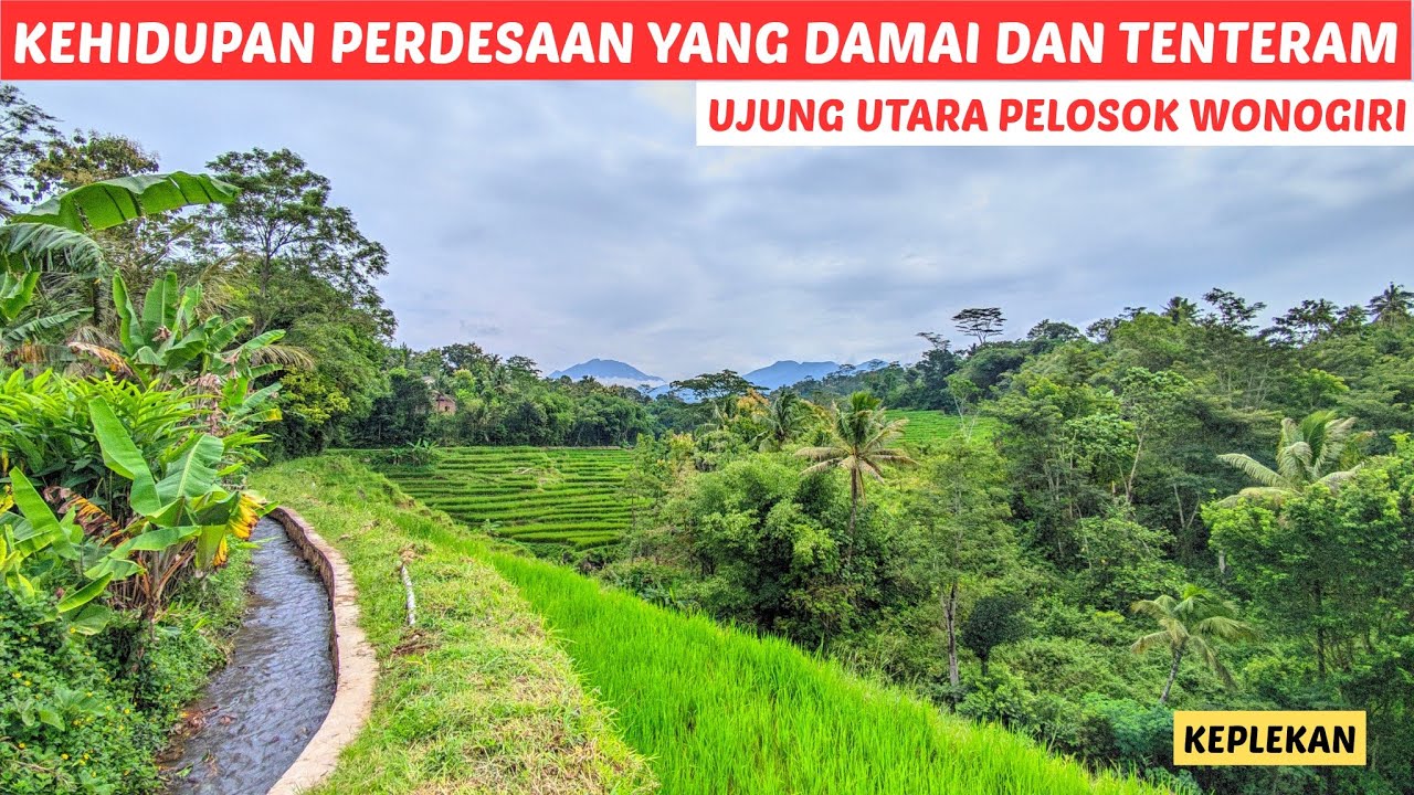 Keplekan ‼️ Suasana Perdesaan di ujung Utara Pelosok Wonogiri | Damai dan Sangat Tenteram