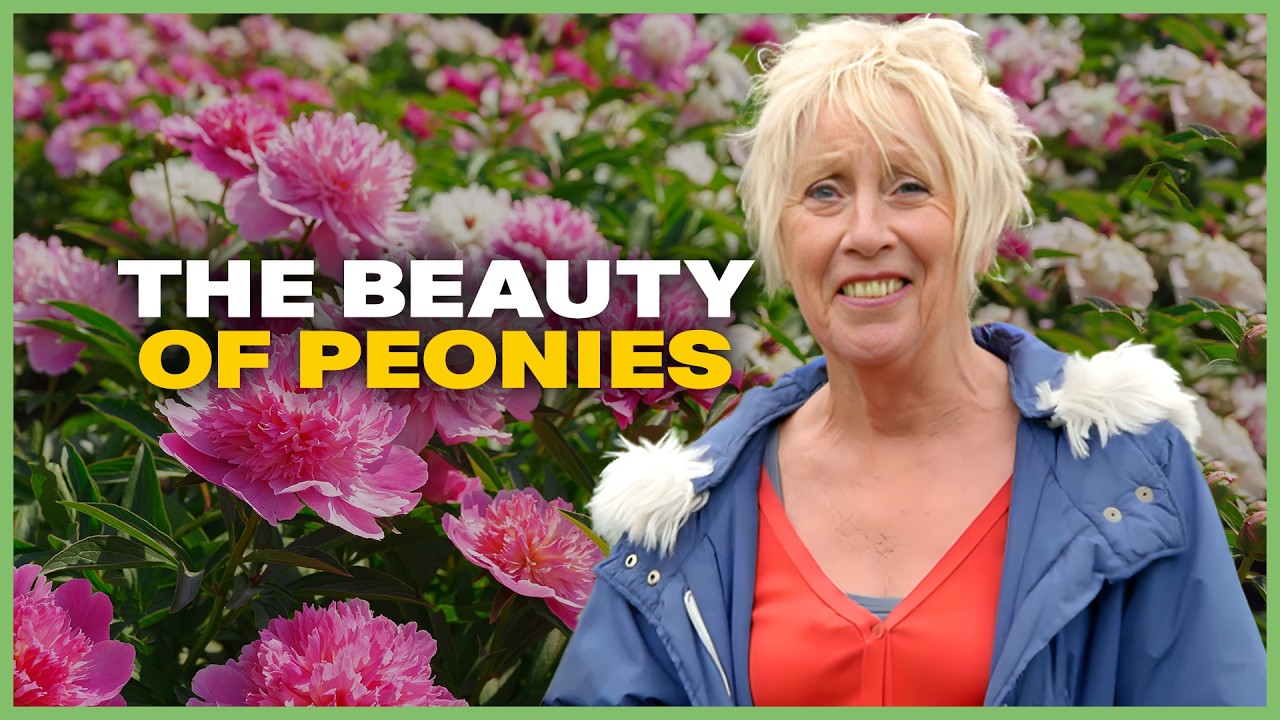 Carol Klein Celebrates Summer's Most Beautiful Flowers | Season 8 Episode 9 | Gardeners' World