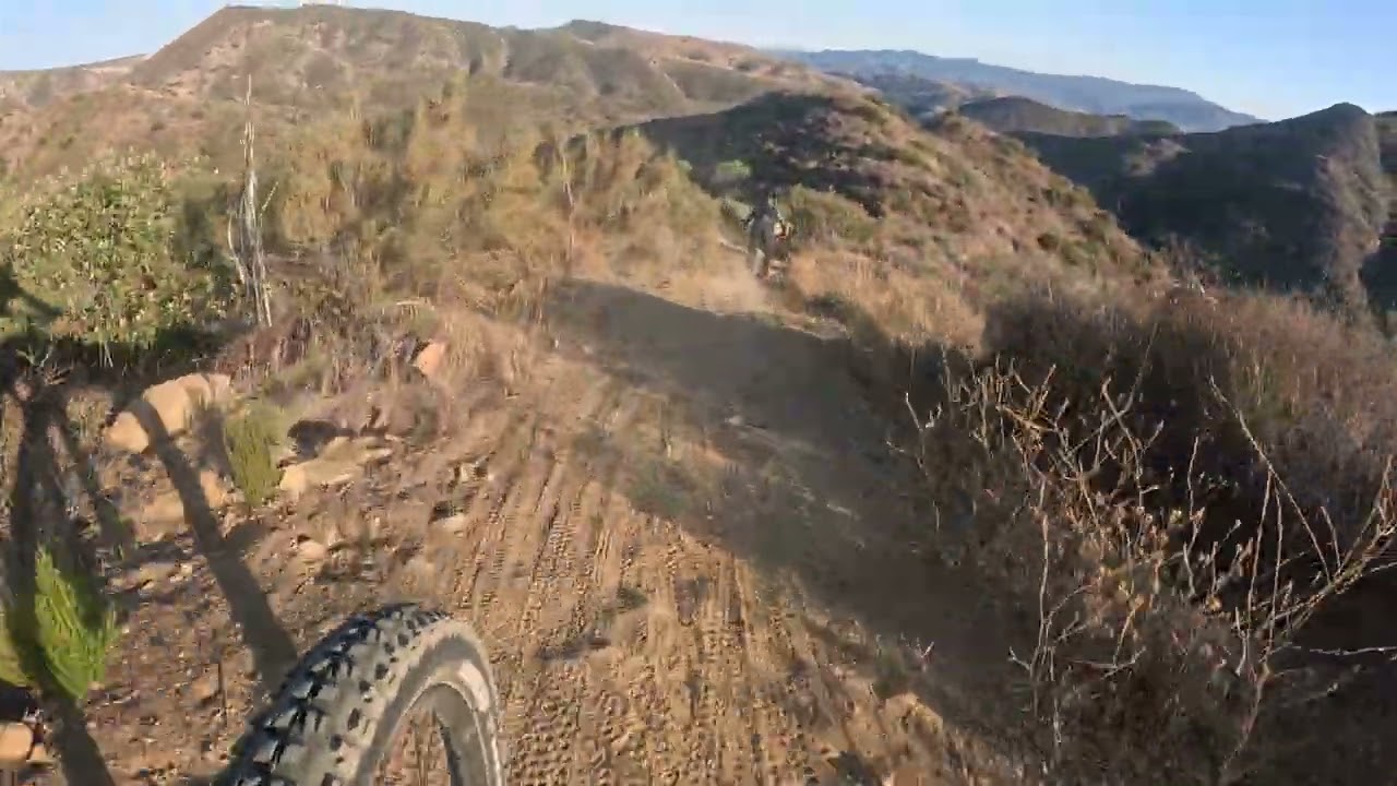Pivot Switchblade down Bones Singletrack