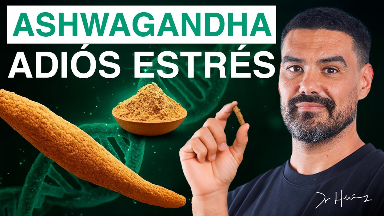 ASHWAGANDHA: Cómo Actúa el ADAPTÓGENO MÁS ESTUDIADO del Mundo