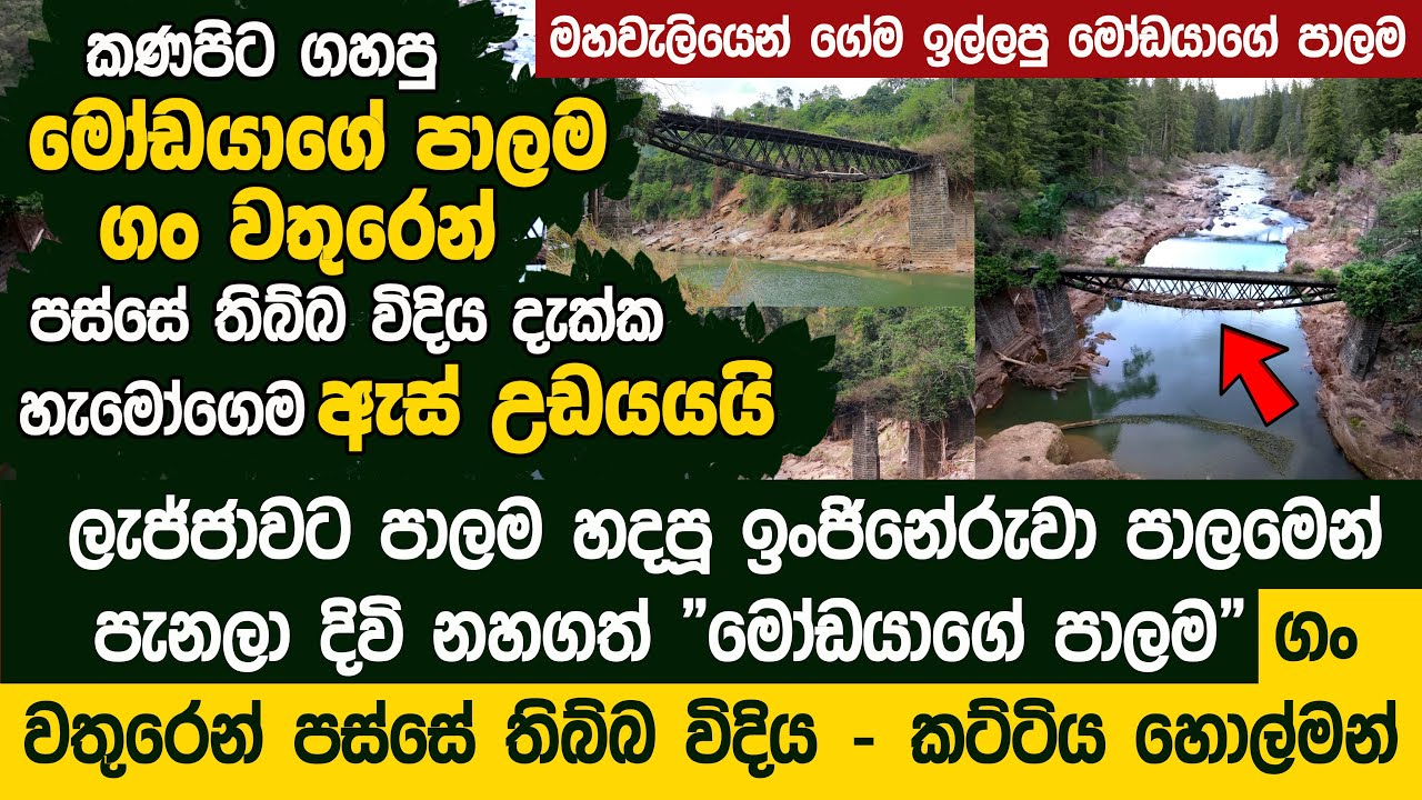 කට්ටිය හොල්මන් - පාලම හදපූ ඉංජිනේරුවා ලැජ්ජාවට අවසන් ගමන් ගිය 