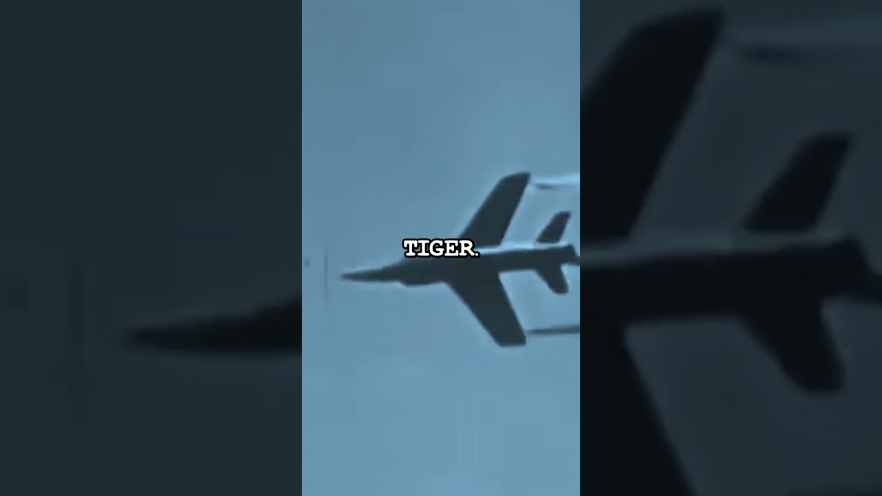 The fighter jet that shot itself down.. 🤯