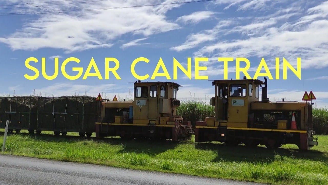 Cane Train in Sugar Cane Harvesting Season| TROPICAL LIFESTYLE FAR NORTH QUEENSLAND #sugarcanetrain