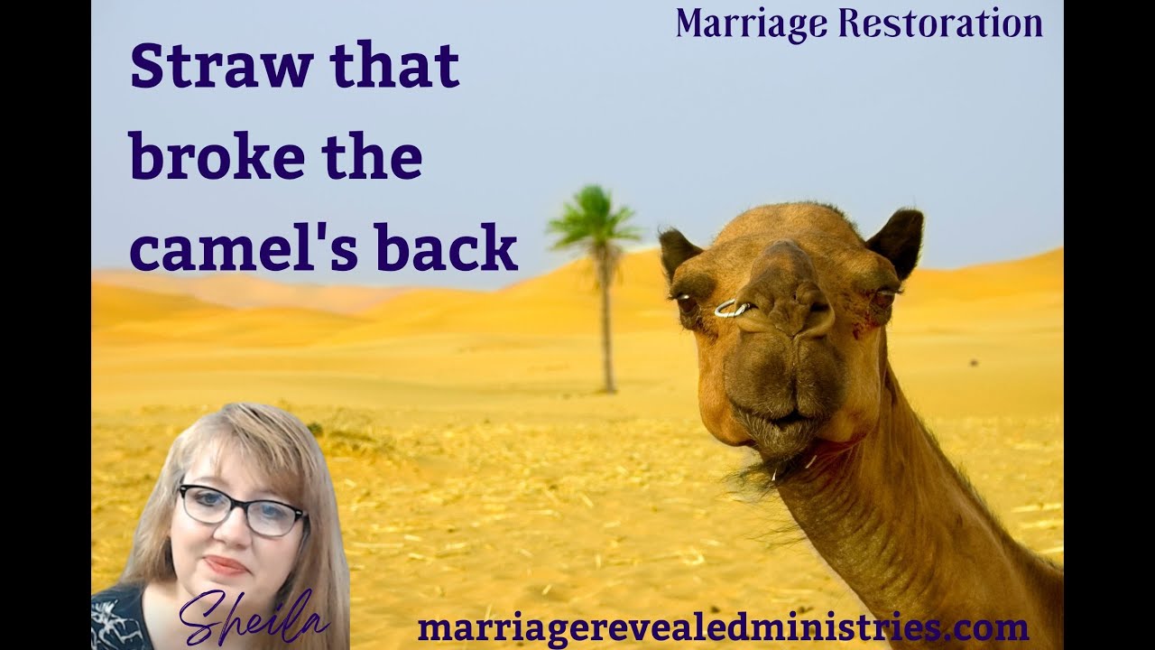 WHAT is Going to Be the Straw that Breaks the Camel's Back?-Marriage Restoration