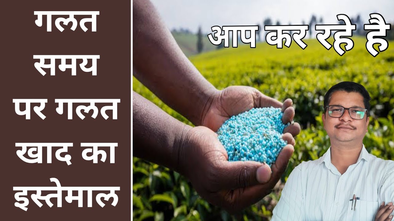 कौनसी खाद कौनसे समय पर और कैसे दे । powerful fertilizer