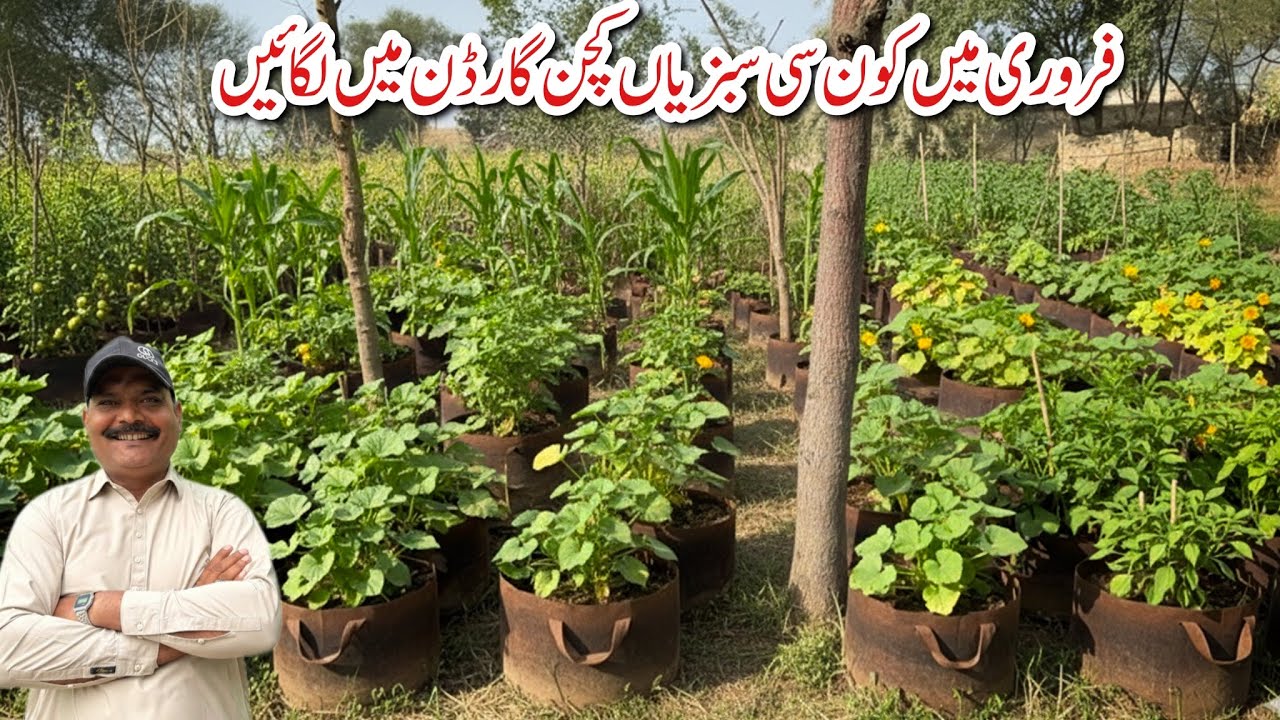 February start mai kon si sabziya kitchen garden mai lagai | Summer Vegetables | Spring Vegetables
