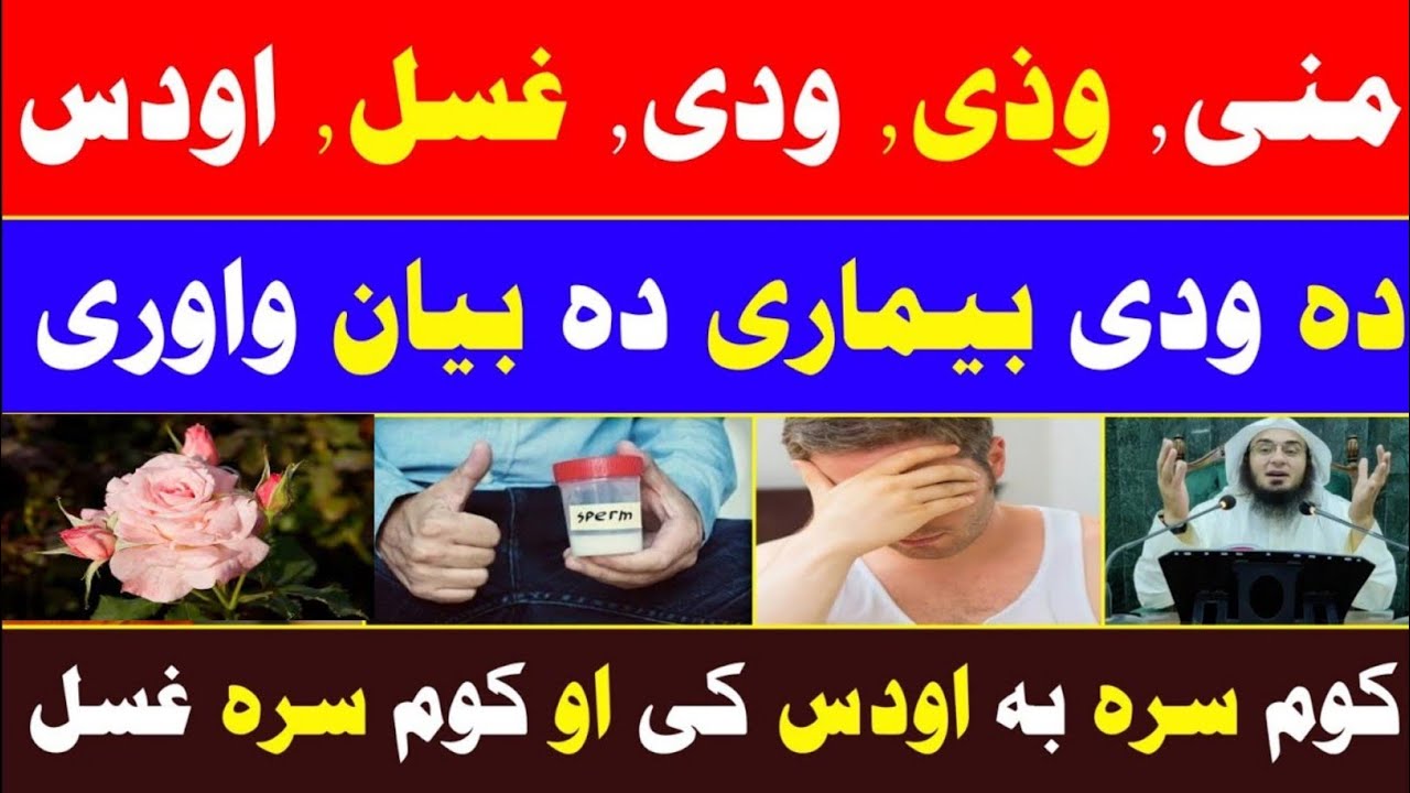 منی ، وذی، ودی ، کوم سرہ اودس  | او دہ کوم سرہ غسل لازمی کیگی | شیخ ابو حسان اسحاق سواتی نوے بیان |