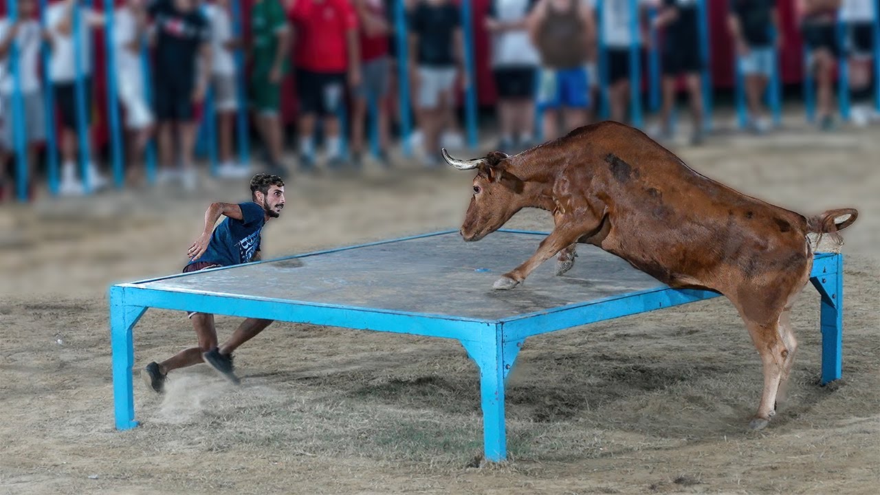 Dolores Fiestas 2024 - Vacas La Paloma