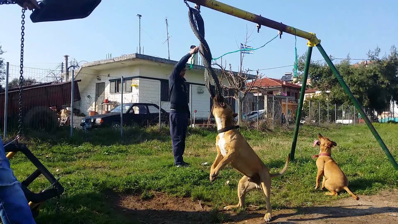 I love this game. ...pitboull Greece