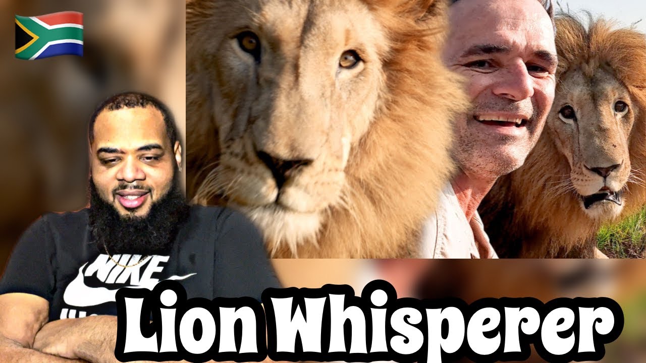 AMERICAN REACTS to I'm in a LION Sandwich | The Lion Whisperer | SOUTH AFRICA
