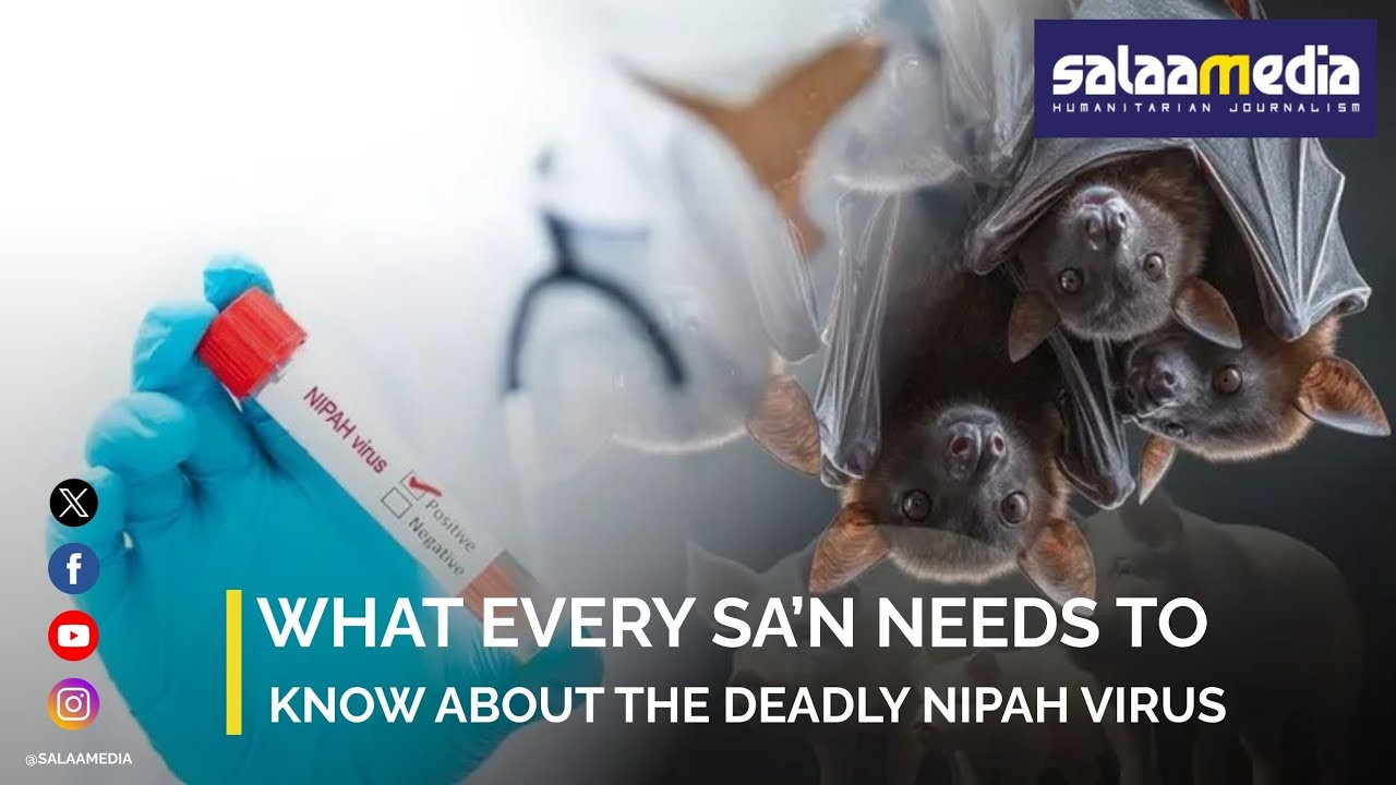 What Every South African Needs to Know About the Deadly Nipah Virus But Don’t Panic!