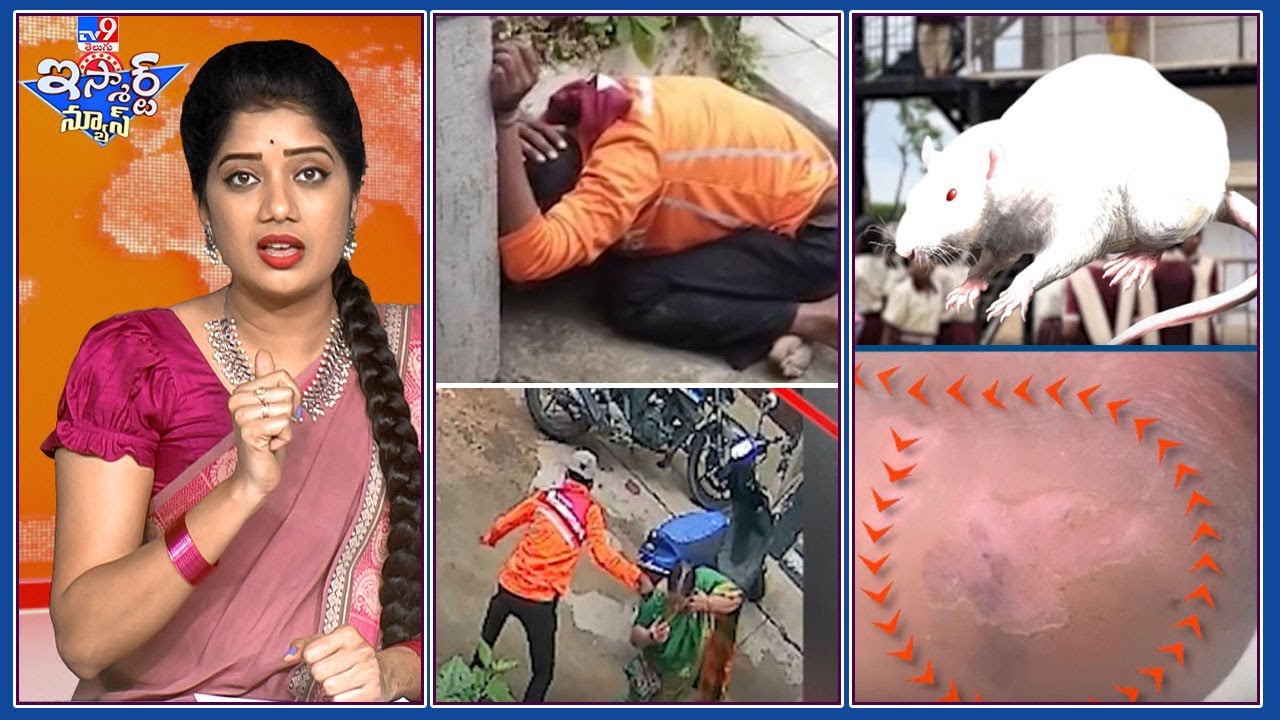 iSmart News : ఎలుకల సంక్షేమ హాస్టల్స్‌ !   | దొంగను చితక్కొట్టిన  జనం !  - TV9