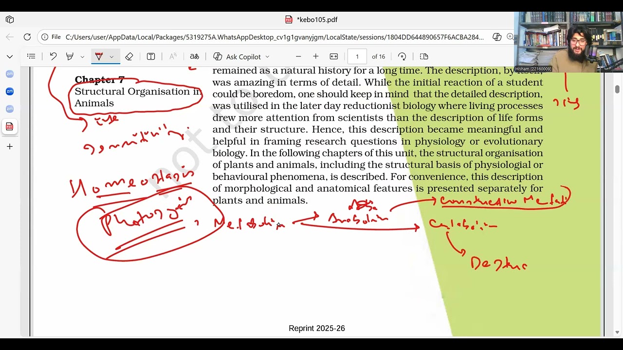 Morphology of flowering plants lec no. 1 NCERT Biology Line by Line for NEET Concept Mastery!