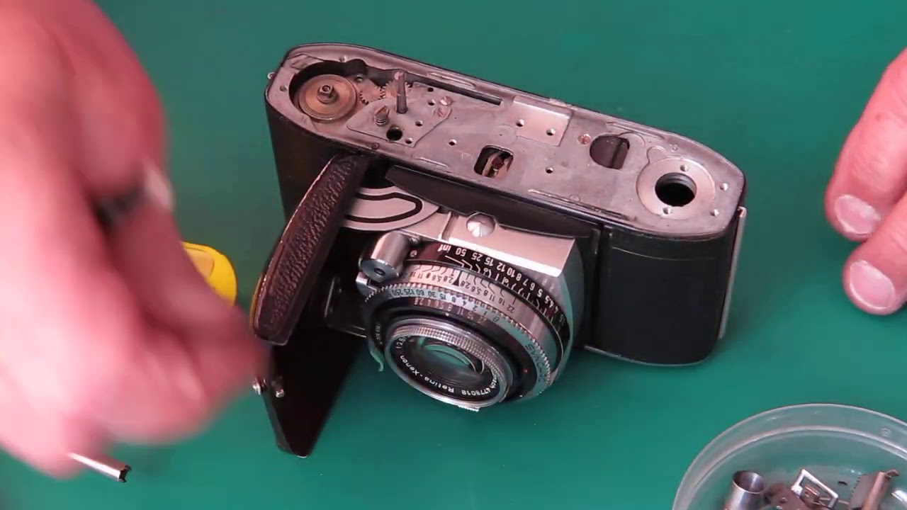 Retina IIc from Dunedin part 01
