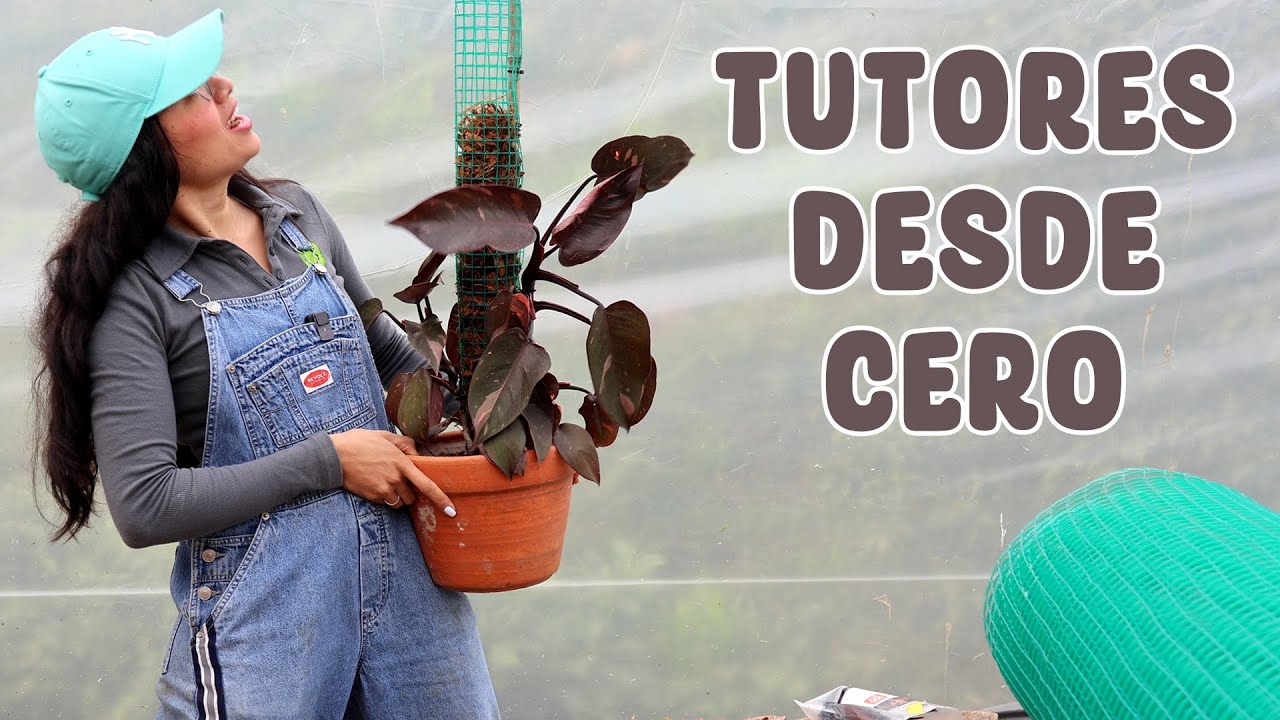 Por fin los tutores para mis plantas en el invernadero nuevo | Candy Bu