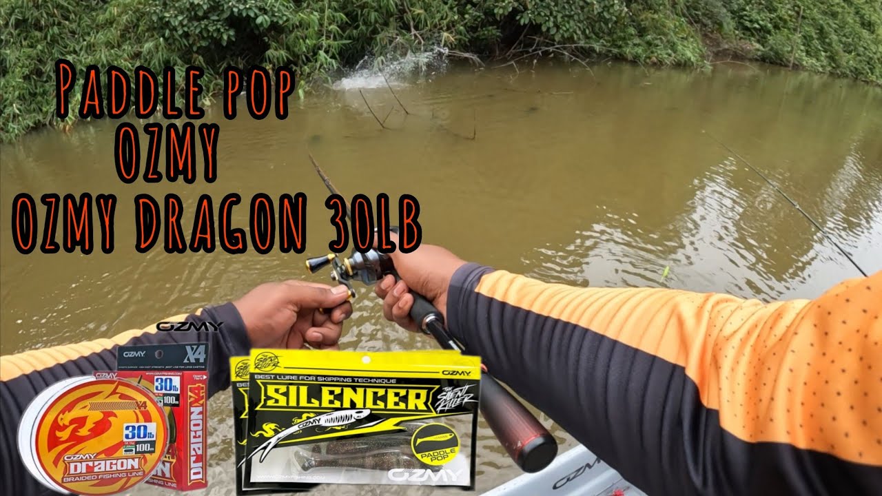 Toman vs paddle pop Ozmy dengan menggunakan  Ozmy Dragon 30lb