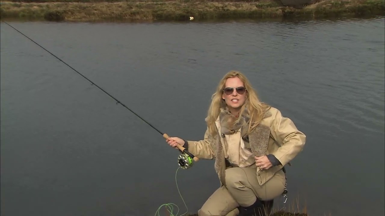Iceland   Sea Trout