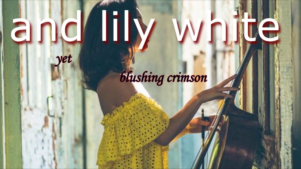 Wildlight - Lily Moon (Isaac Chambers ft. Jarrod Brereton Remix) Lyrics