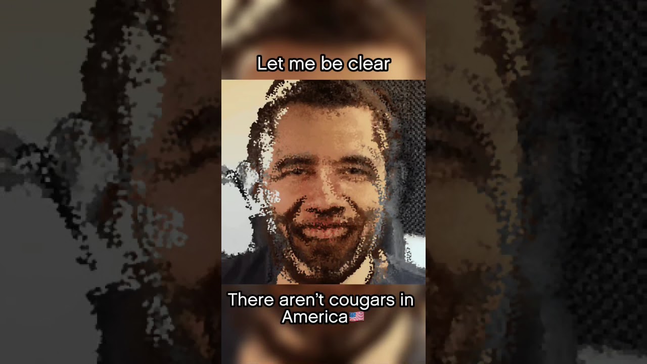Matto is the 48th president #darkviperau #funny #memes