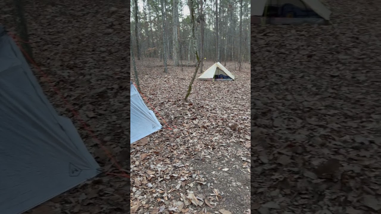 Backpacking The Pine Mountain Trail PMT Beech Bottom Campsite 🏕️ #hiking #backpacking #georgia