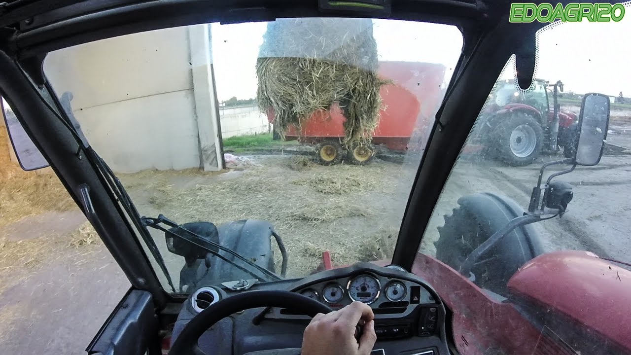 [Go-Pro] Unifeed Process || Case ih Maxxum 140 + Seko Tiger 240 + Manitou 935 Turbo || By Edoagri20