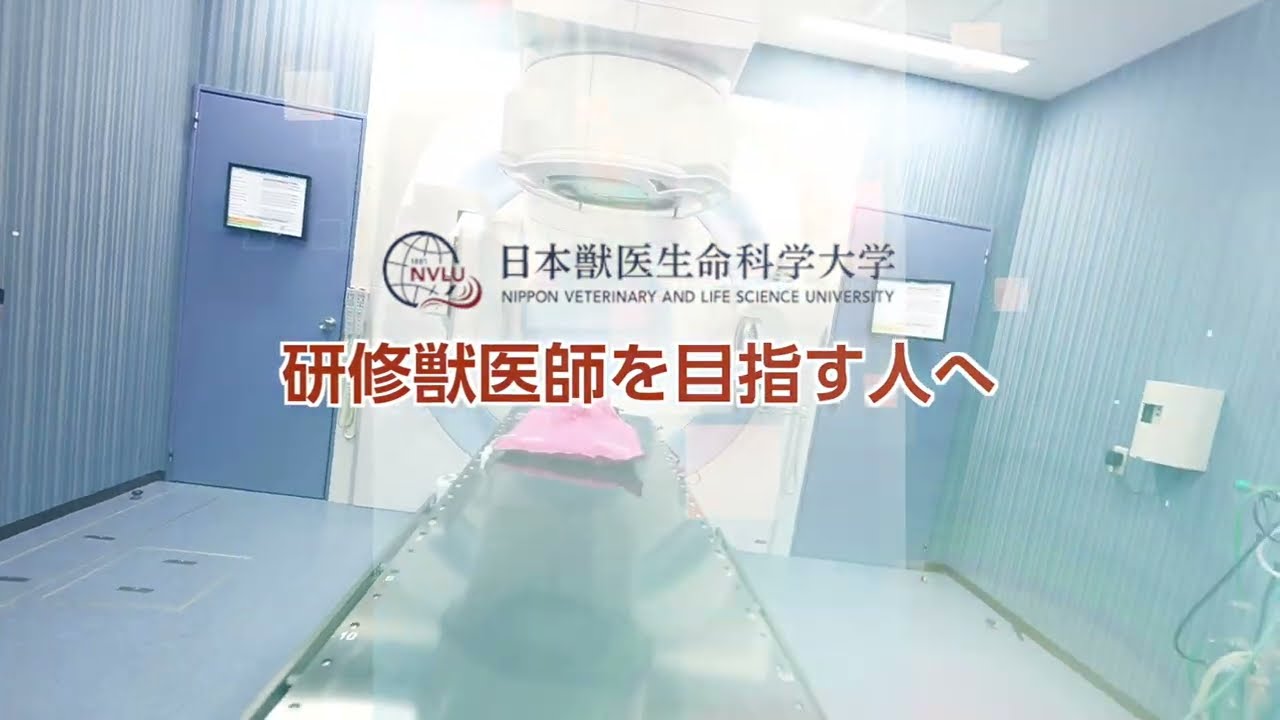 研修獣医師を目指す人へ【日本獣医生命科学大学付属動物医療センター】